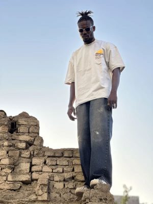 تیشرت طرحدار طوسی روشن کد 10325