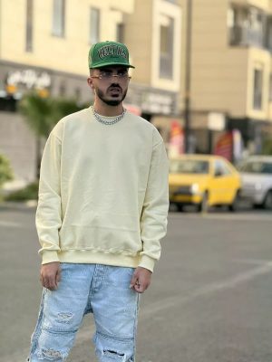 دورس بیسیک لیمویی کد 10452