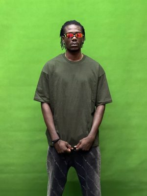 بیسیک پارچه ماکان سبز لجنی کد 1093