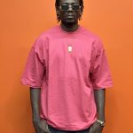 تیشرت بیسیک گلبهی کد 10129