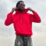 هودی بیسیک قرمز کد 2035